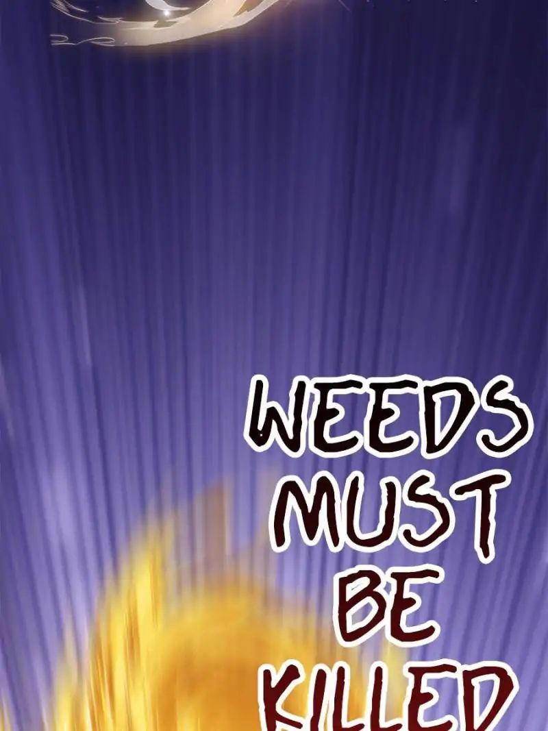 Page 47 of Chapter 38