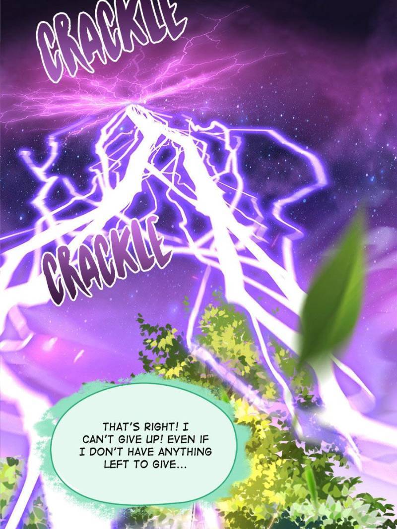 Page 5 of Chapter 446