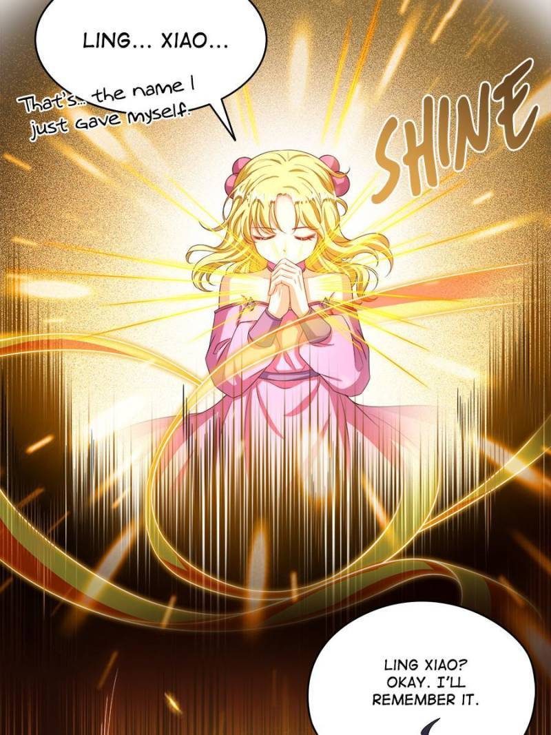 Page 5 of Chapter 481