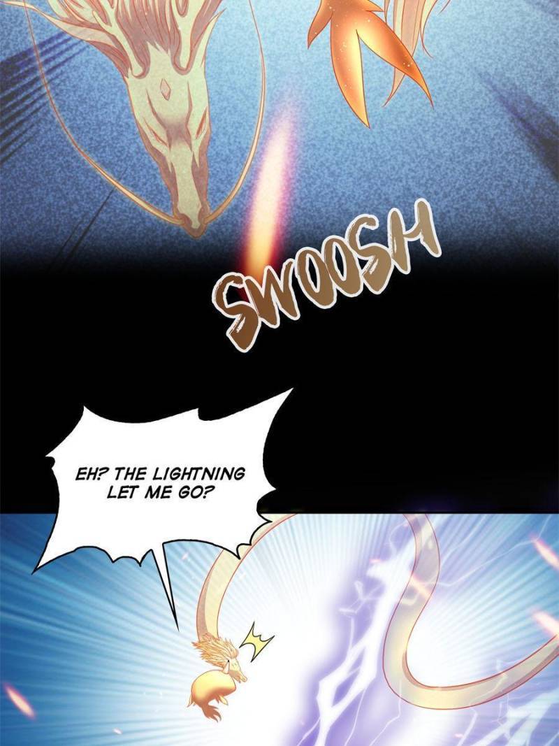 Page 41 of Chapter 519