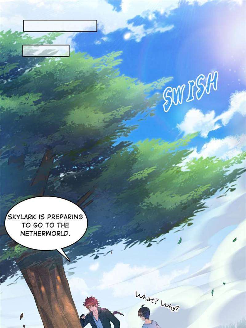 Page 41 of Chapter 566
