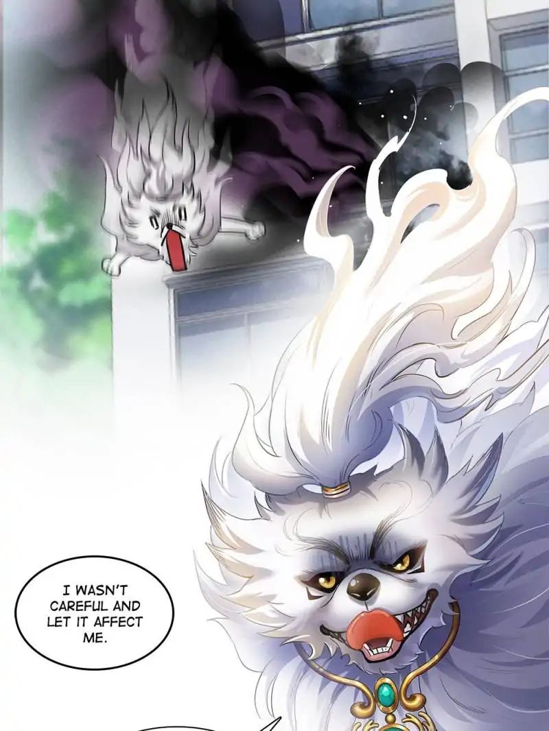 Page 55 of Chapter 70