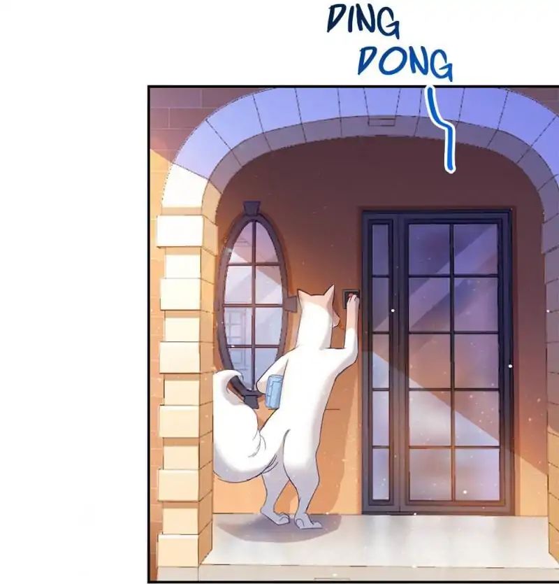 Page 20 of Chapter 79
