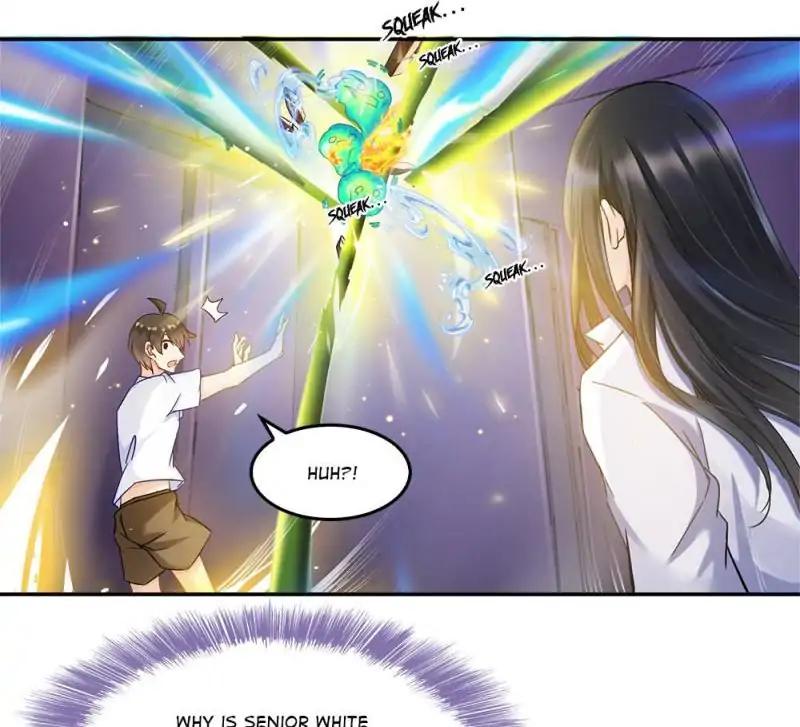 Page 25 of Chapter 84