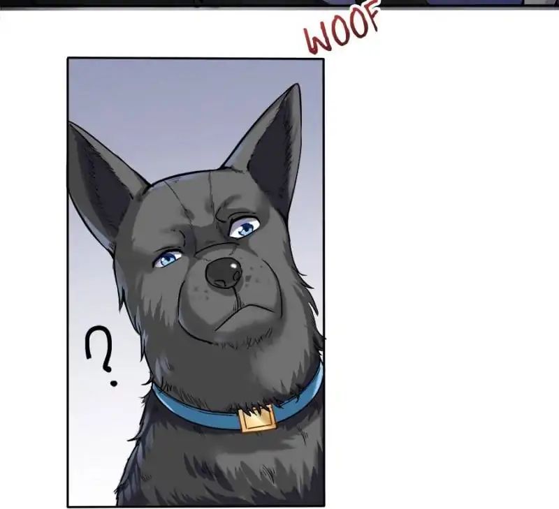 Page 17 of Chapter 89