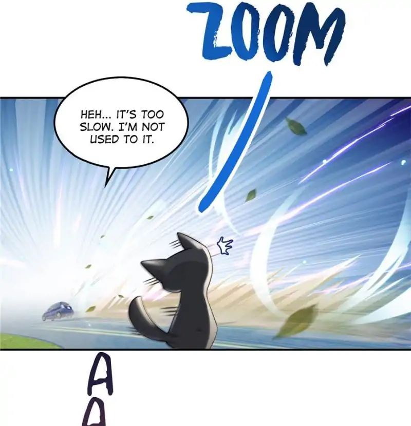 Page 41 of Chapter 94