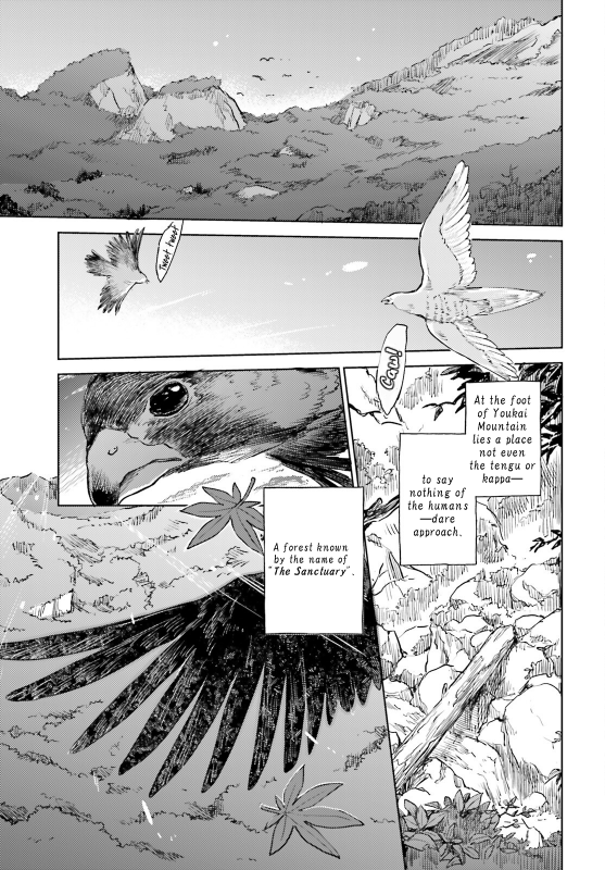 Page 17 of Chapter 57