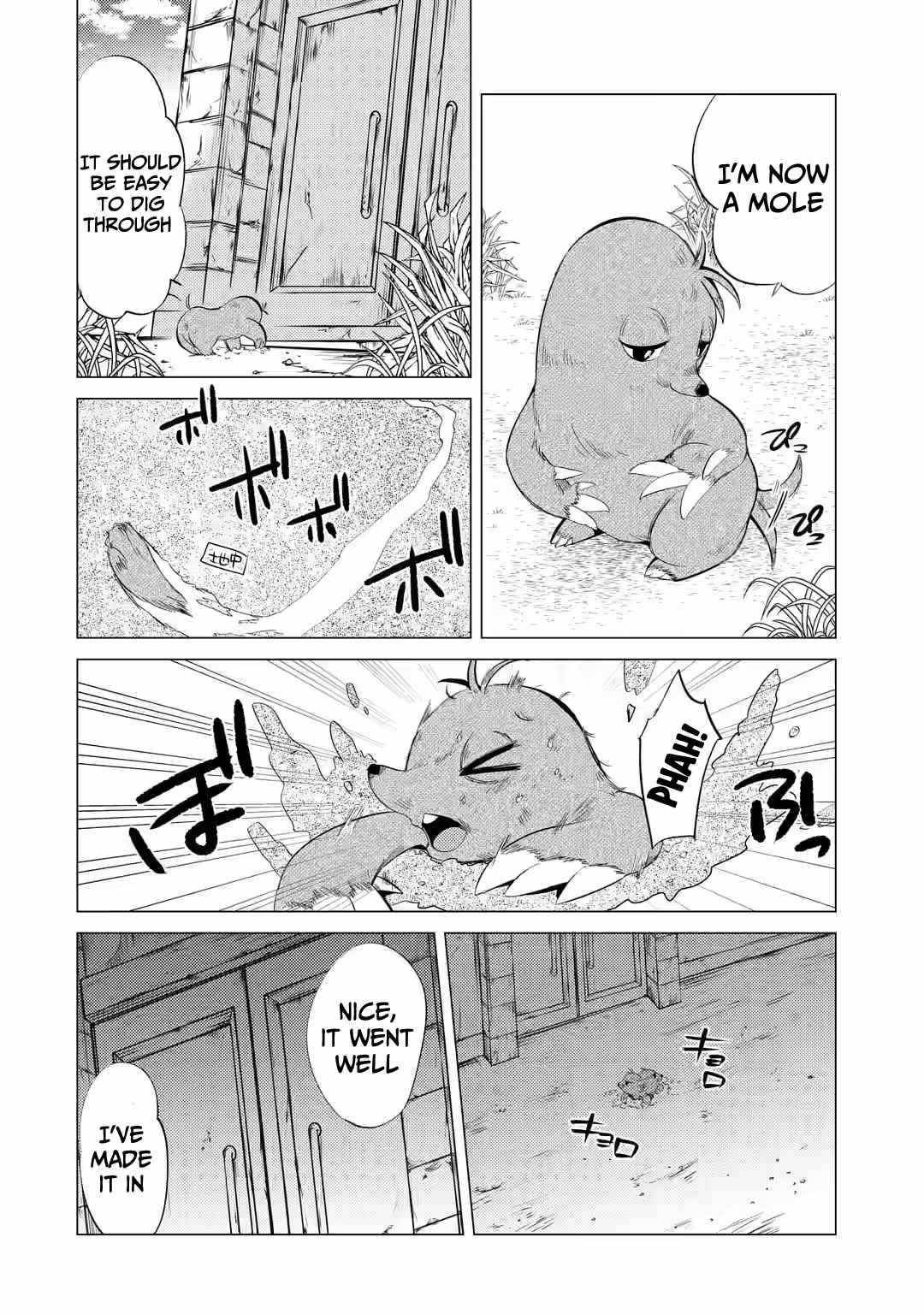 Page 7 of Chapter 2.1