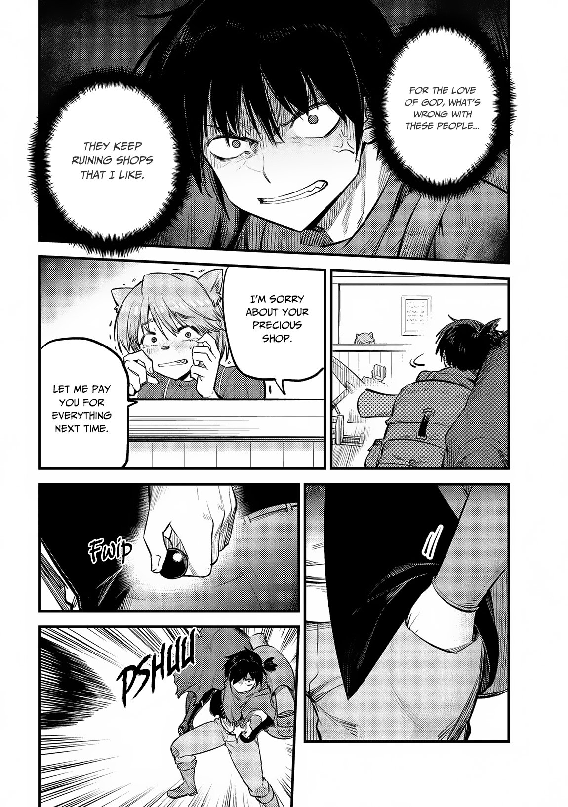 Page 13 of Chapter 20.1
