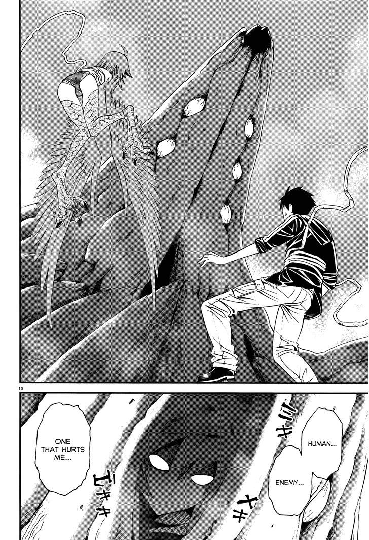 Page 13 of Chapter 20