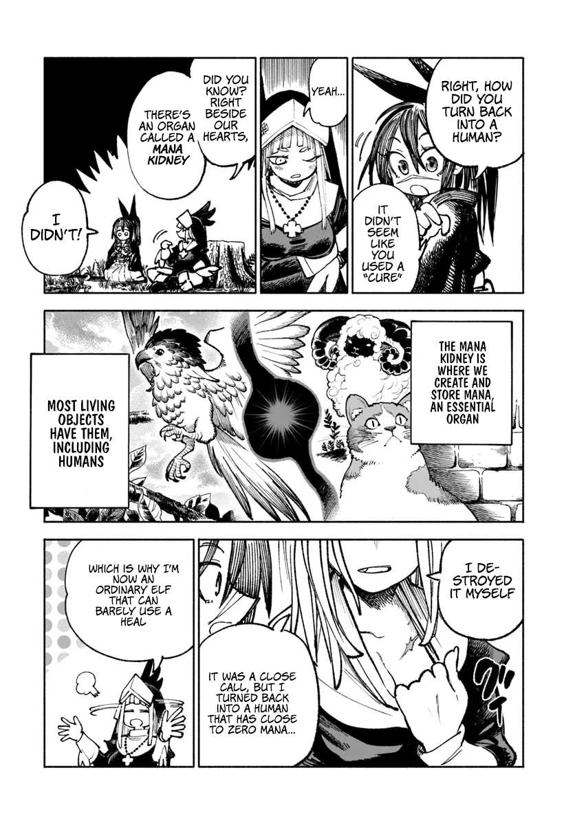 Page 19 of Chapter 21