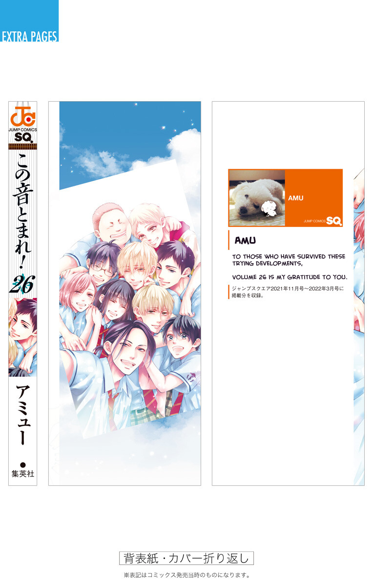 Page 17 of Chapter 110.5