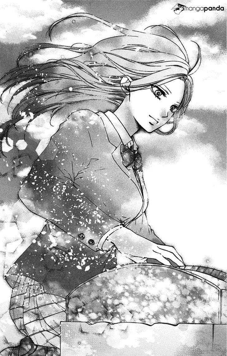 Page 13 of Chapter 33