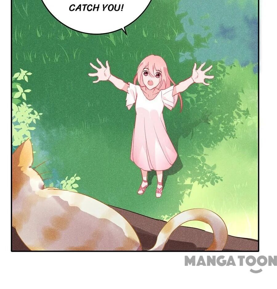 Page 27 of Chapter 151