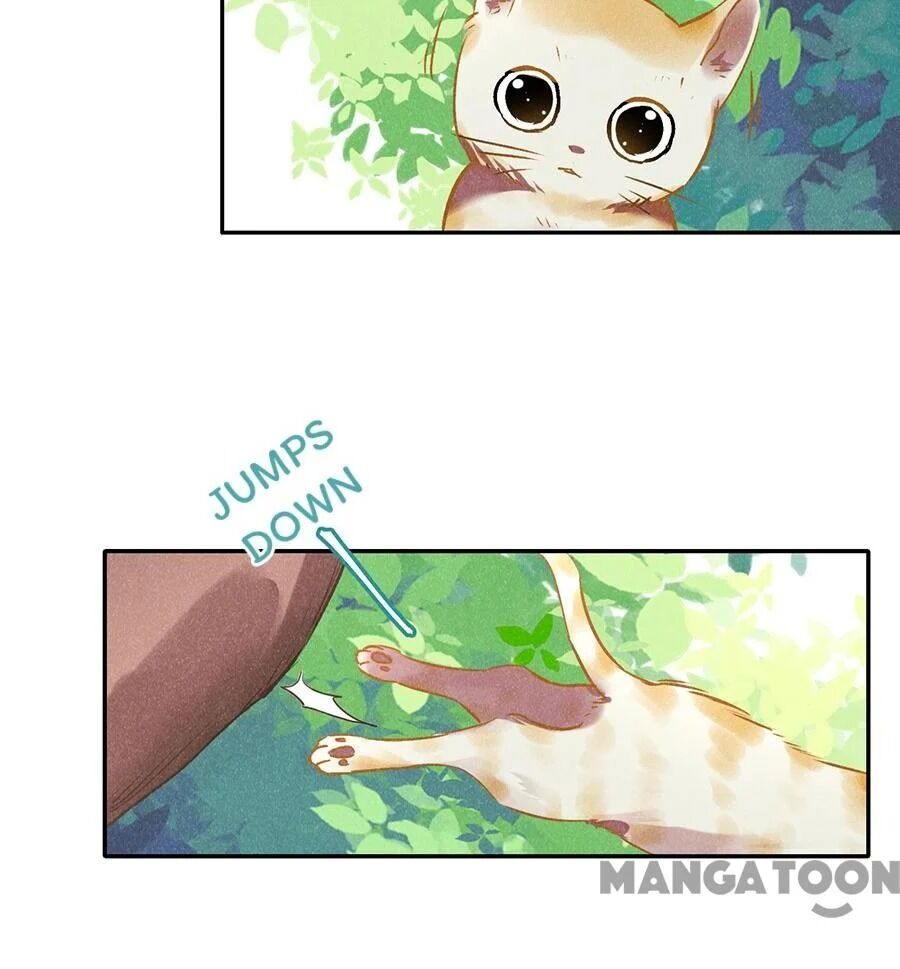 Page 29 of Chapter 151