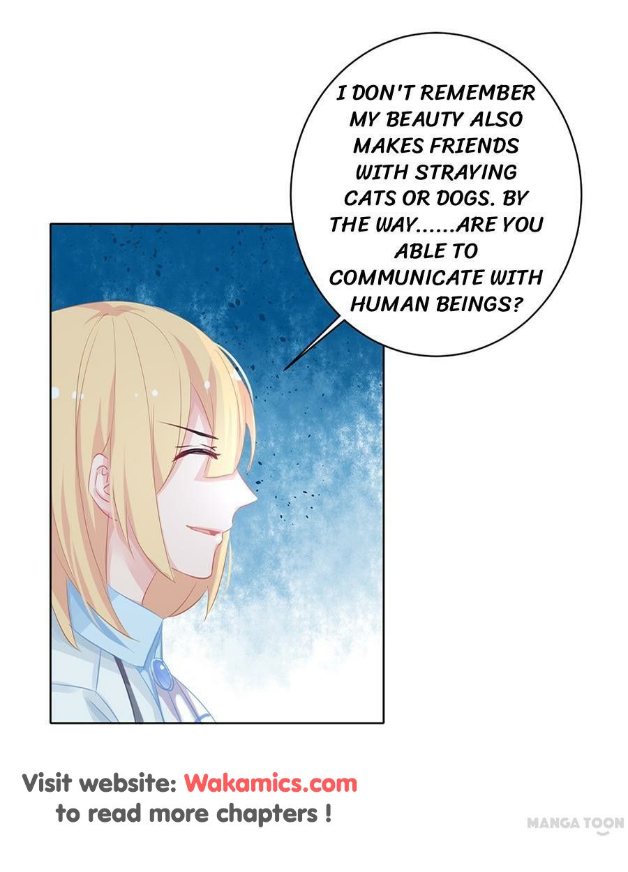 Page 40 of Chapter 19
