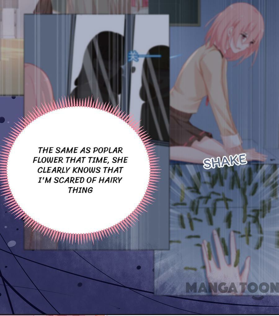 Page 17 of Chapter 95