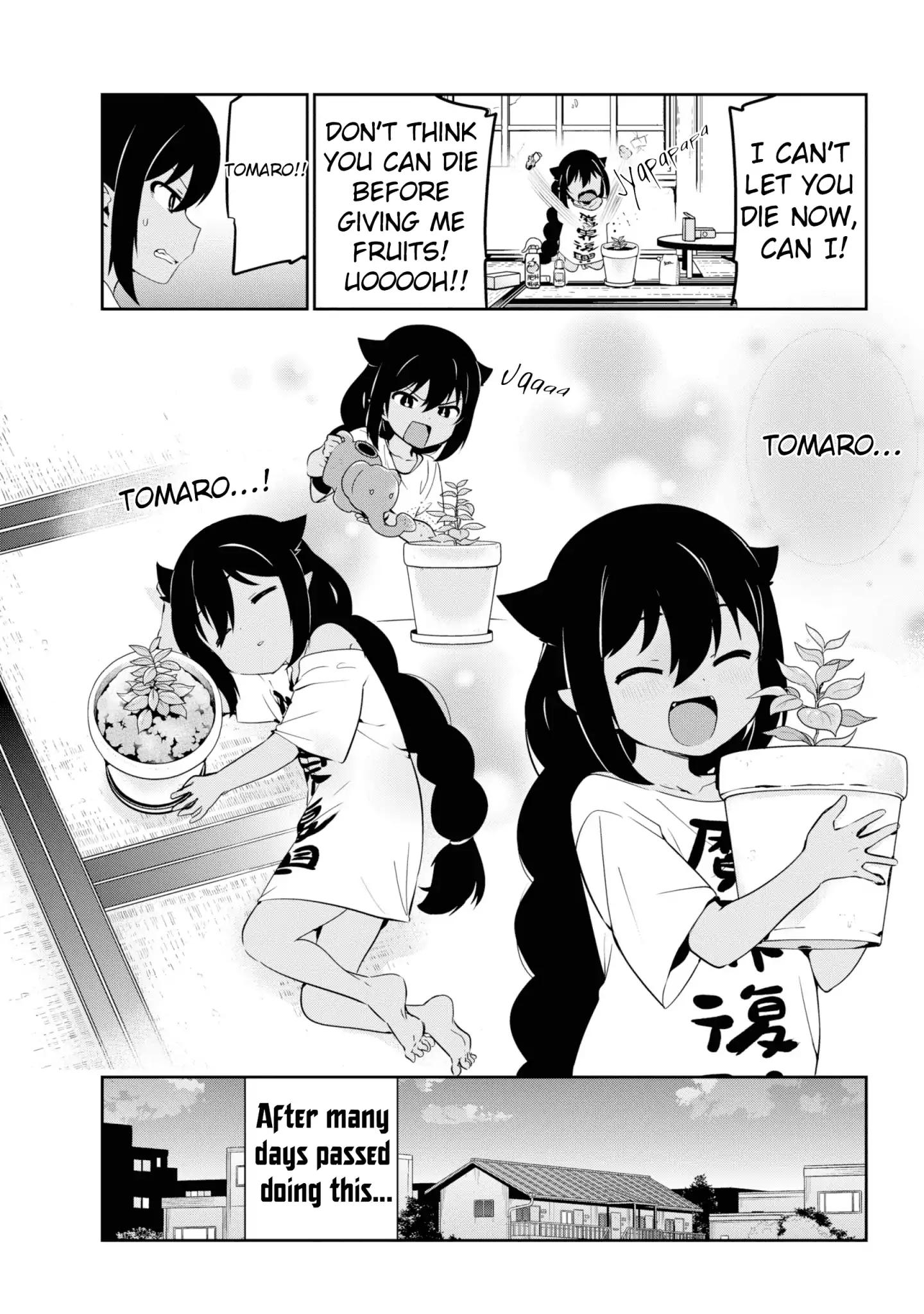 Page 13 of Chapter 33