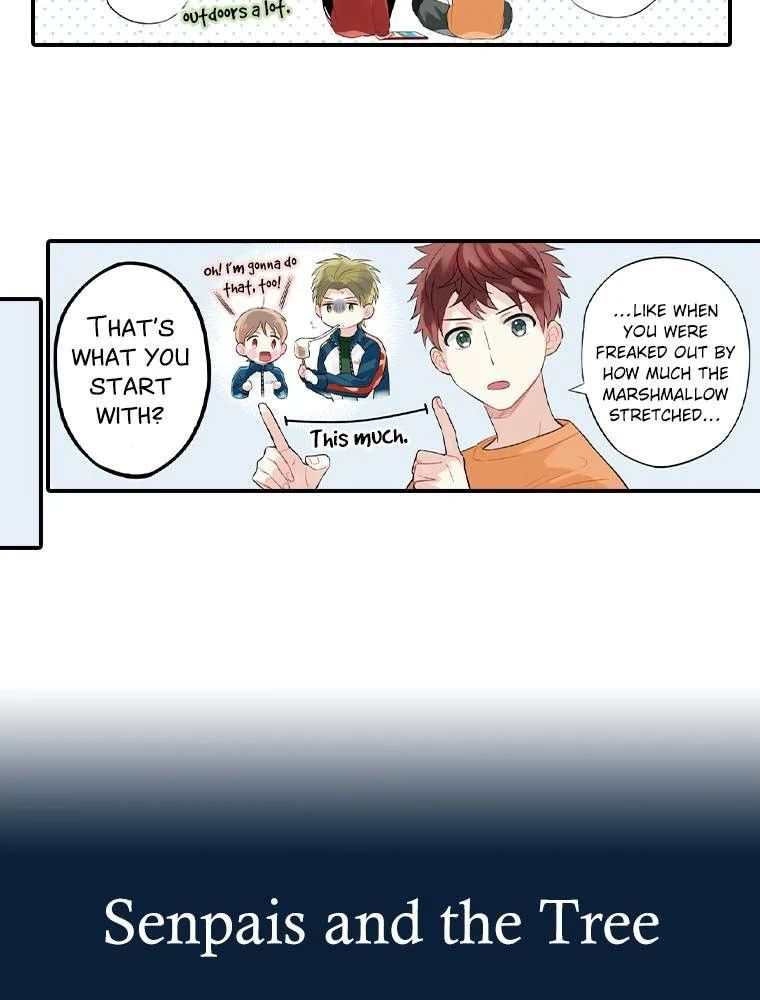 Page 17 of Chapter 14.2