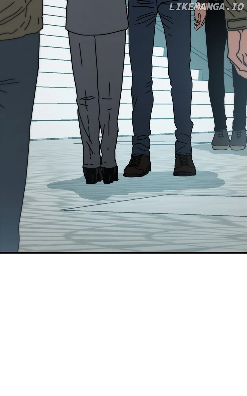 Page 5 of Chapter 41