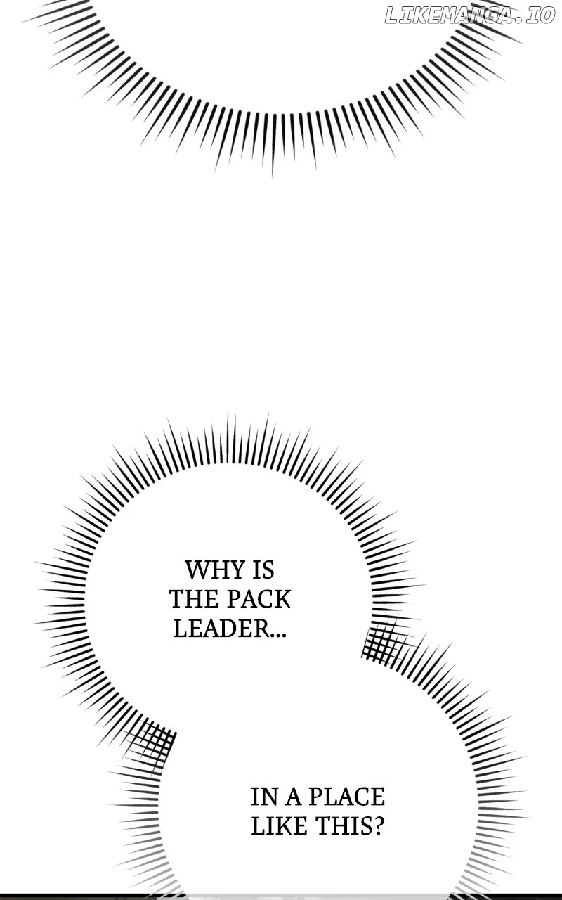 Page 95 of Chapter 41
