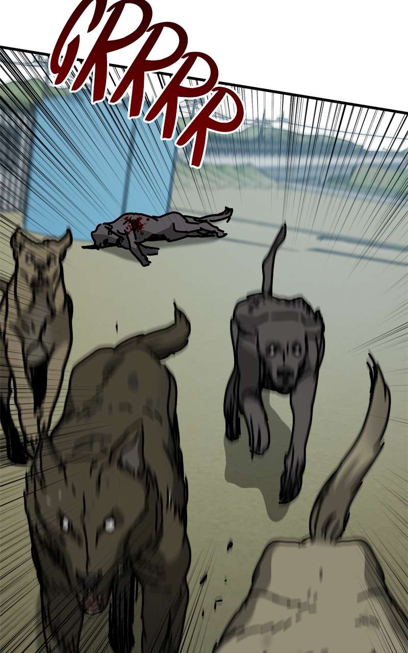 Page 26 of Chapter 43