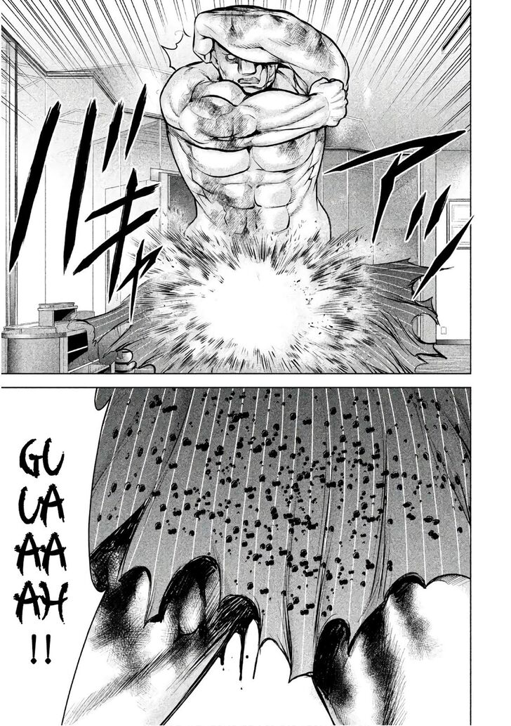 Page 17 of Chapter 87