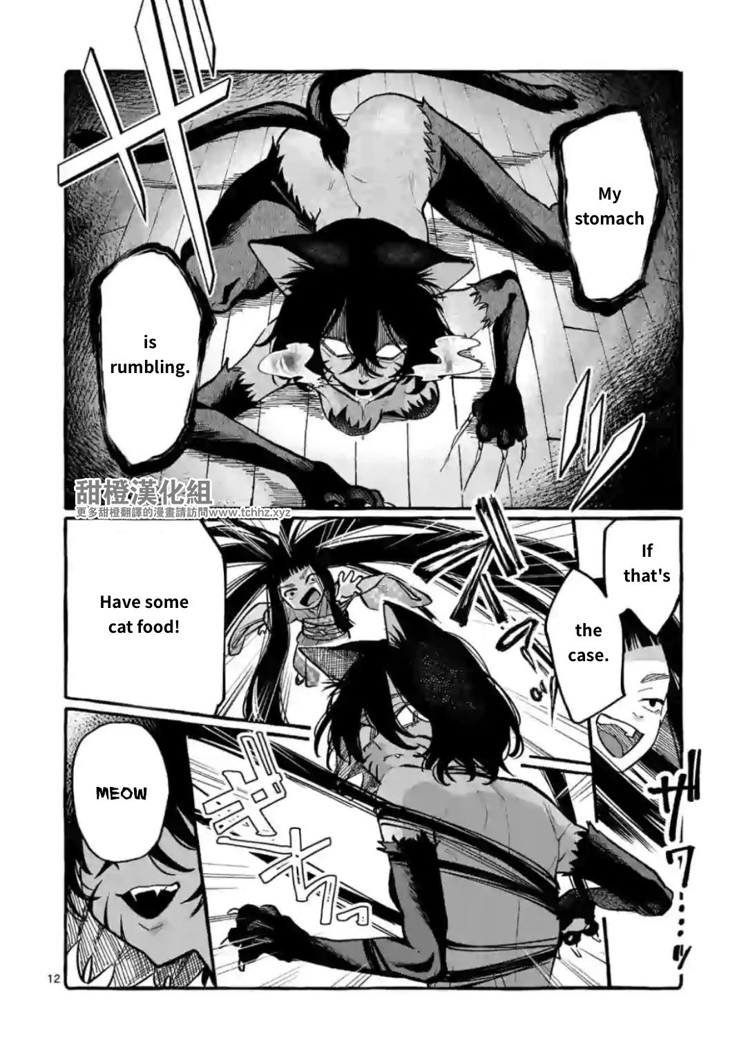 Page 12 of Chapter 13
