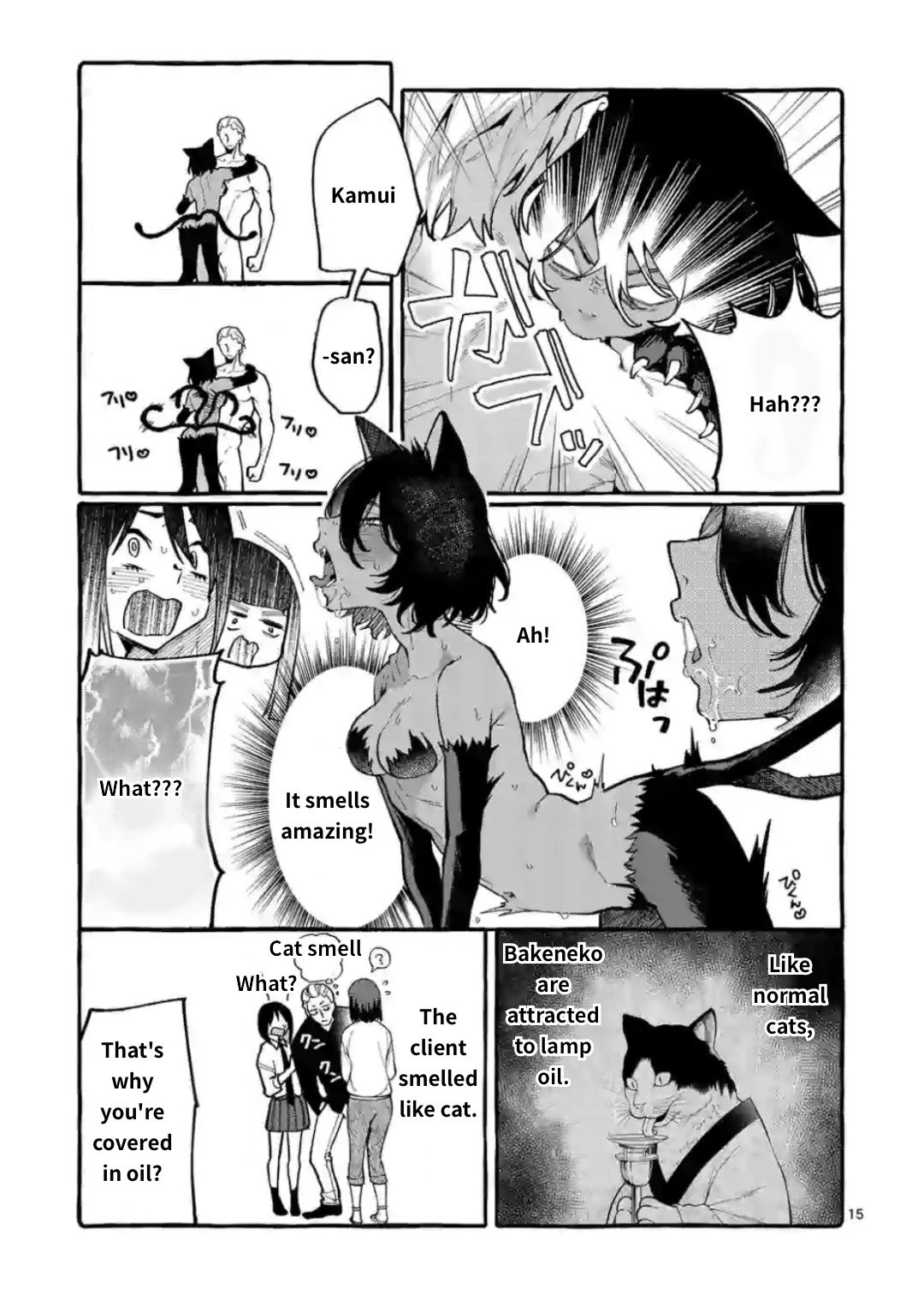 Page 15 of Chapter 13