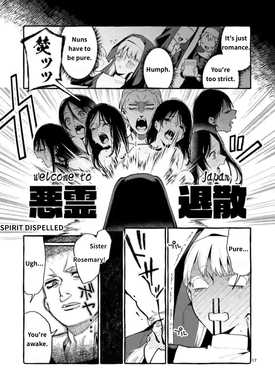 Page 17 of Chapter 15