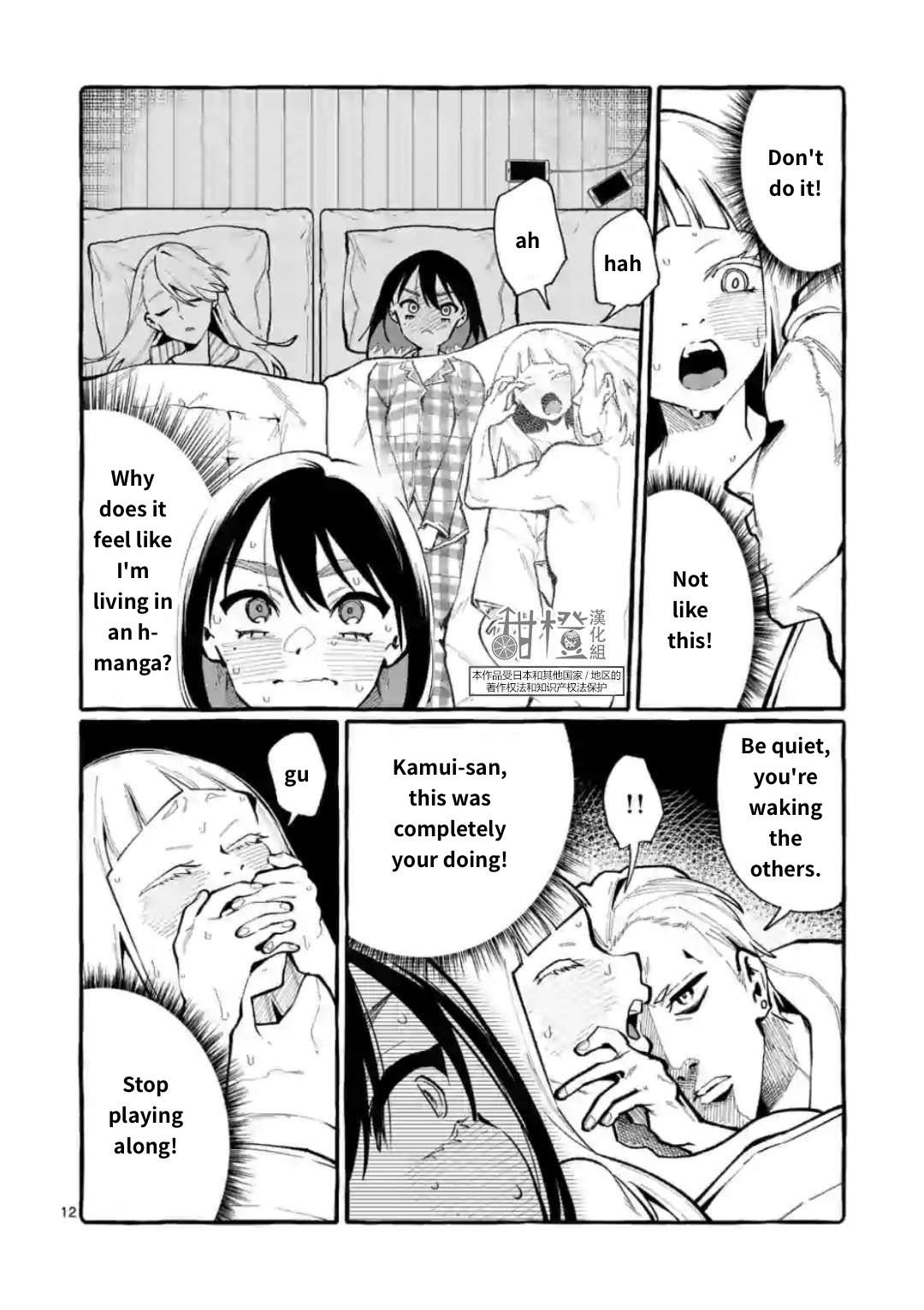 Page 12 of Chapter 20
