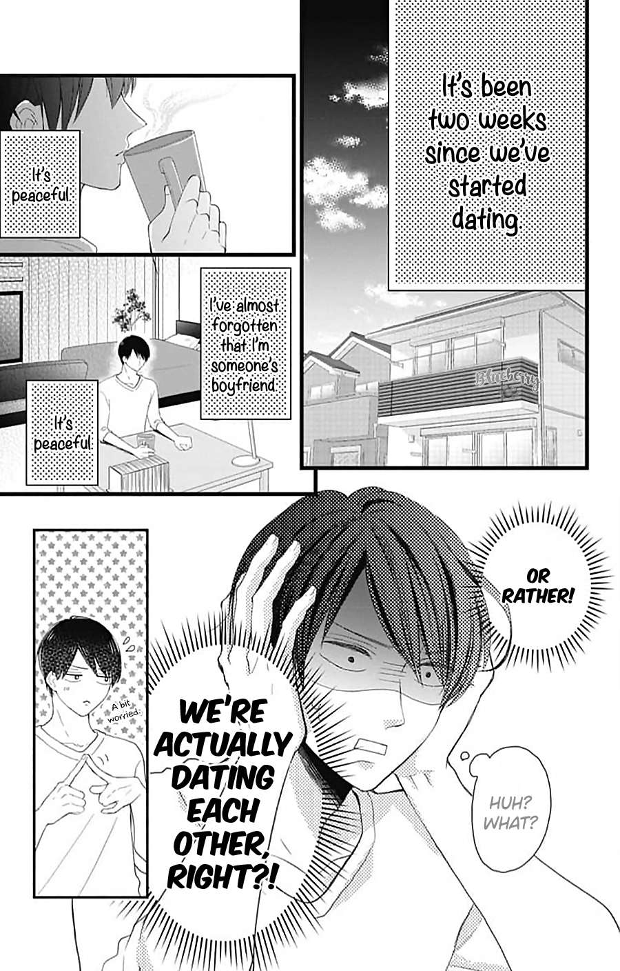 Page 14 of Chapter 15