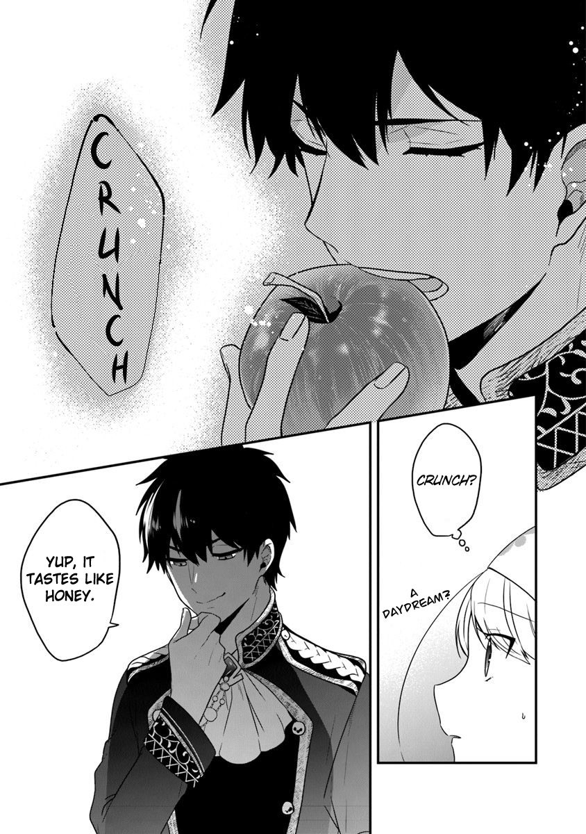 Page 24 of Chapter 17