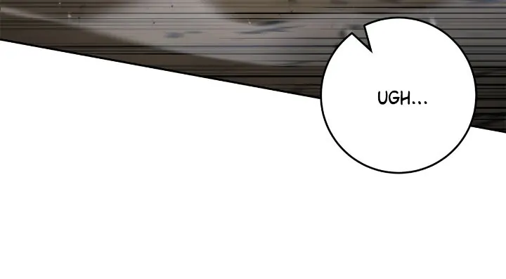 Page 17 of Chapter 261