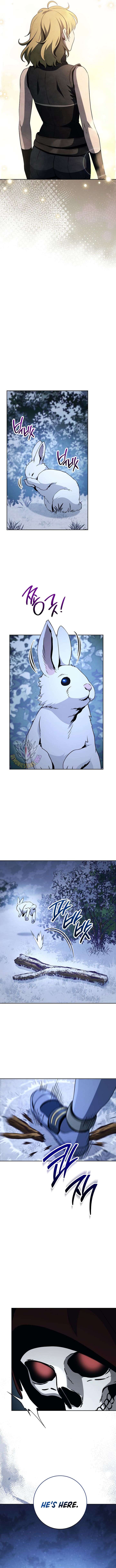 Page 3 of Chapter 294