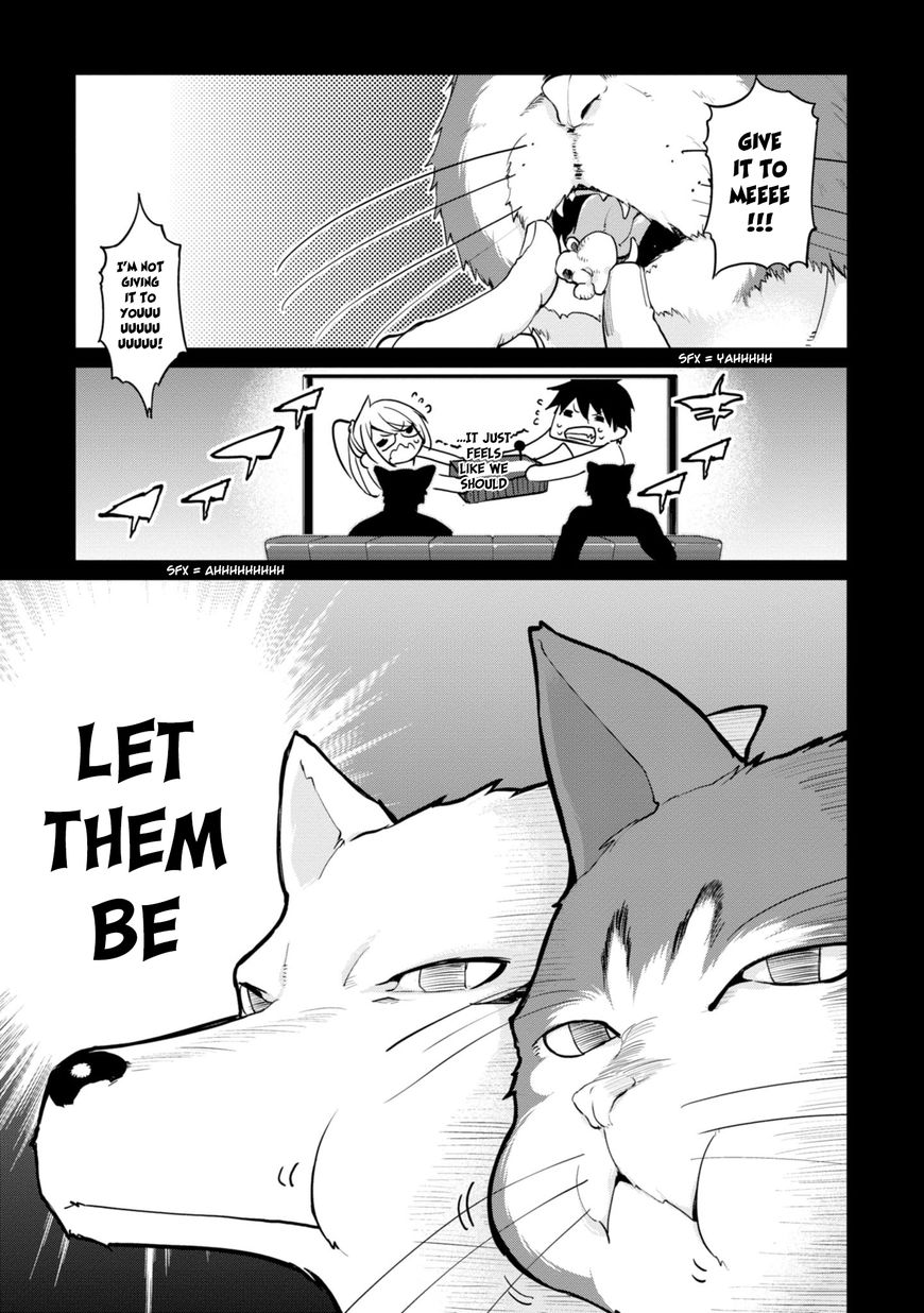 Page 19 of Chapter 13