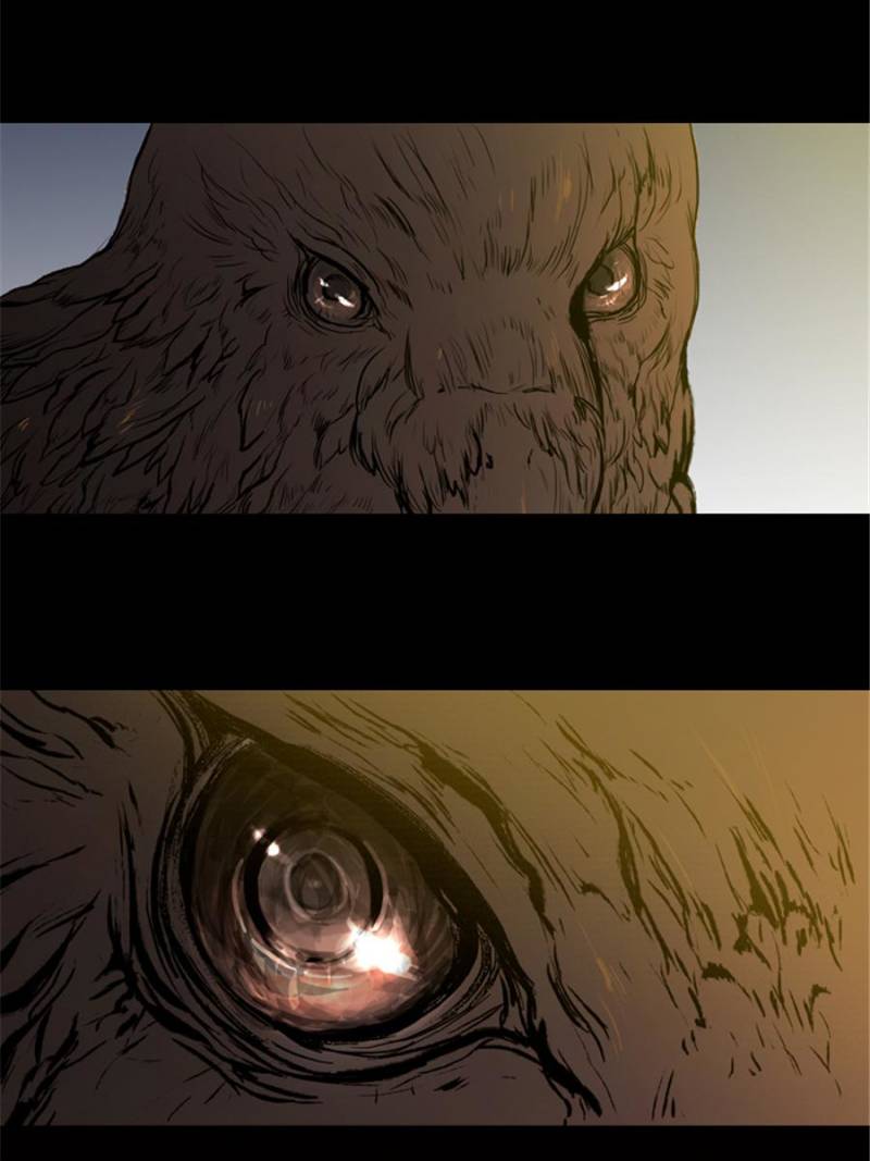 Page 17 of Chapter 1