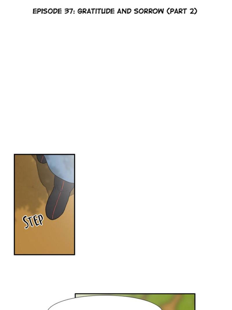 Page 13 of Chapter 37