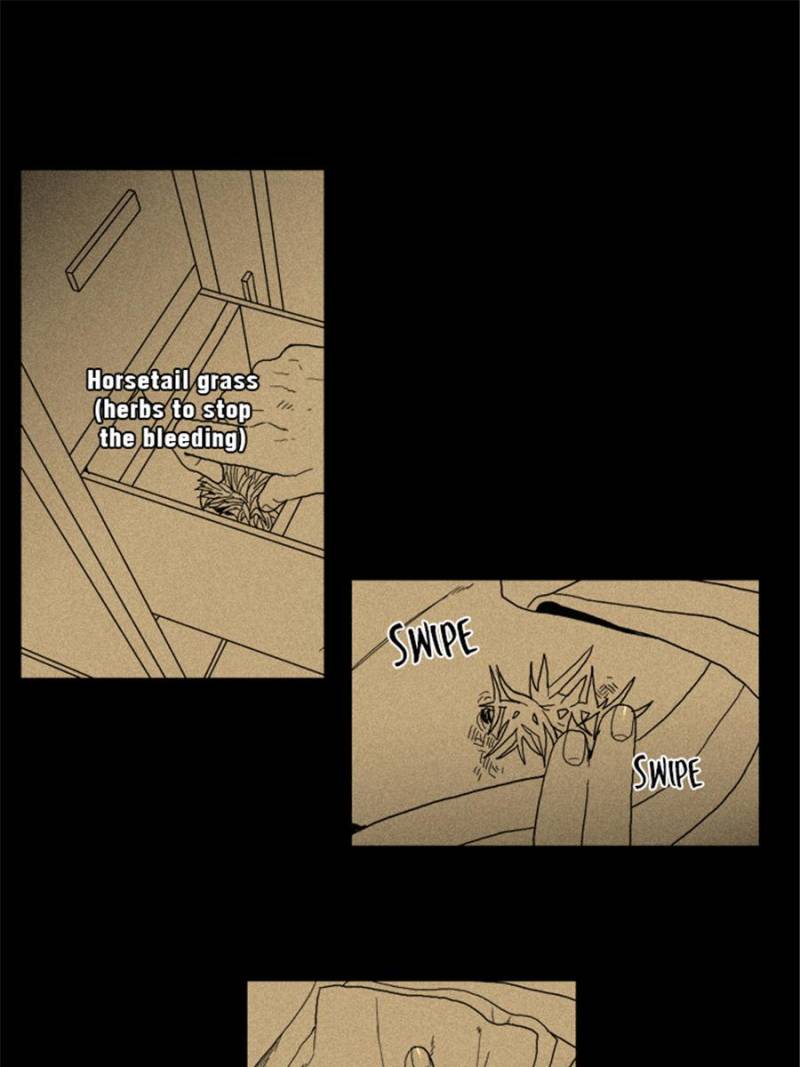 Page 43 of Chapter 5