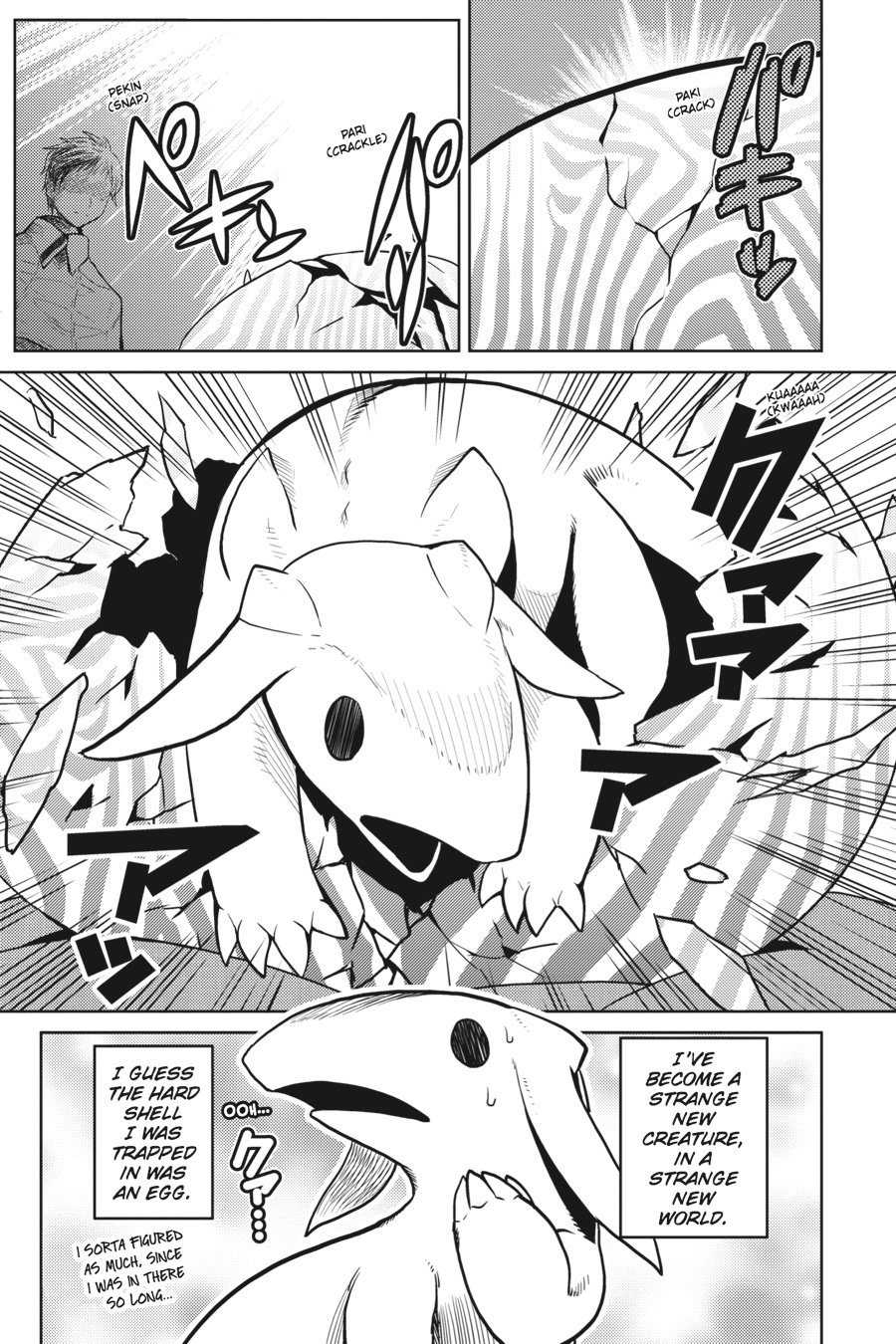 Page 8 of Chapter 19.5