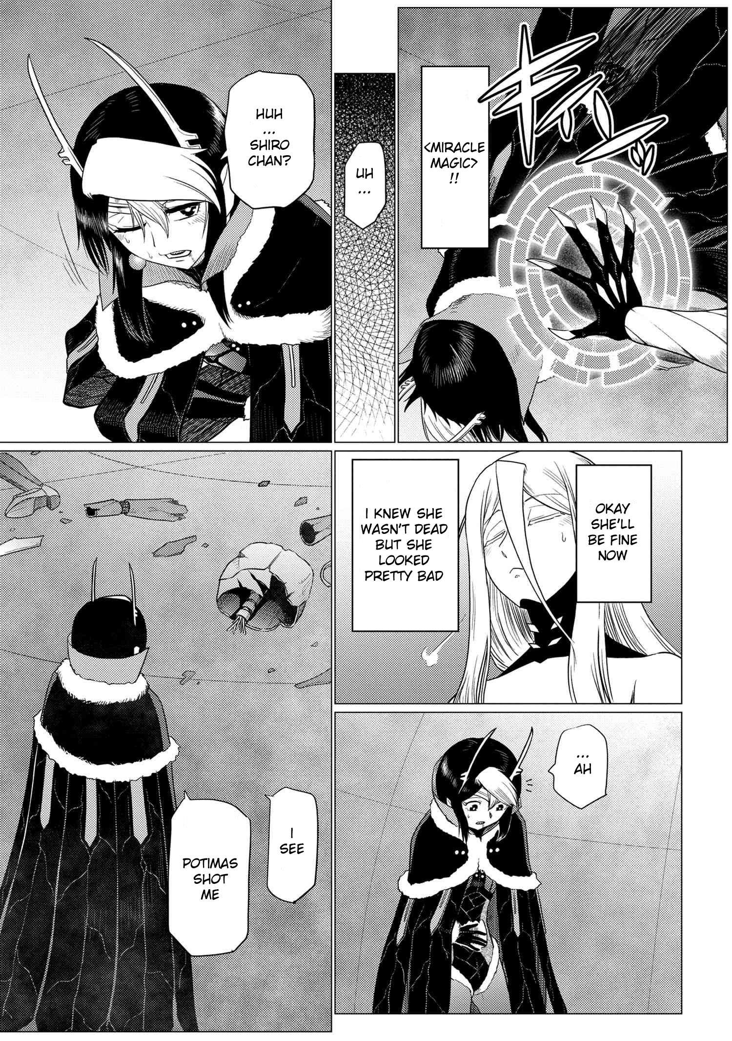Page 13 of Chapter 66.1