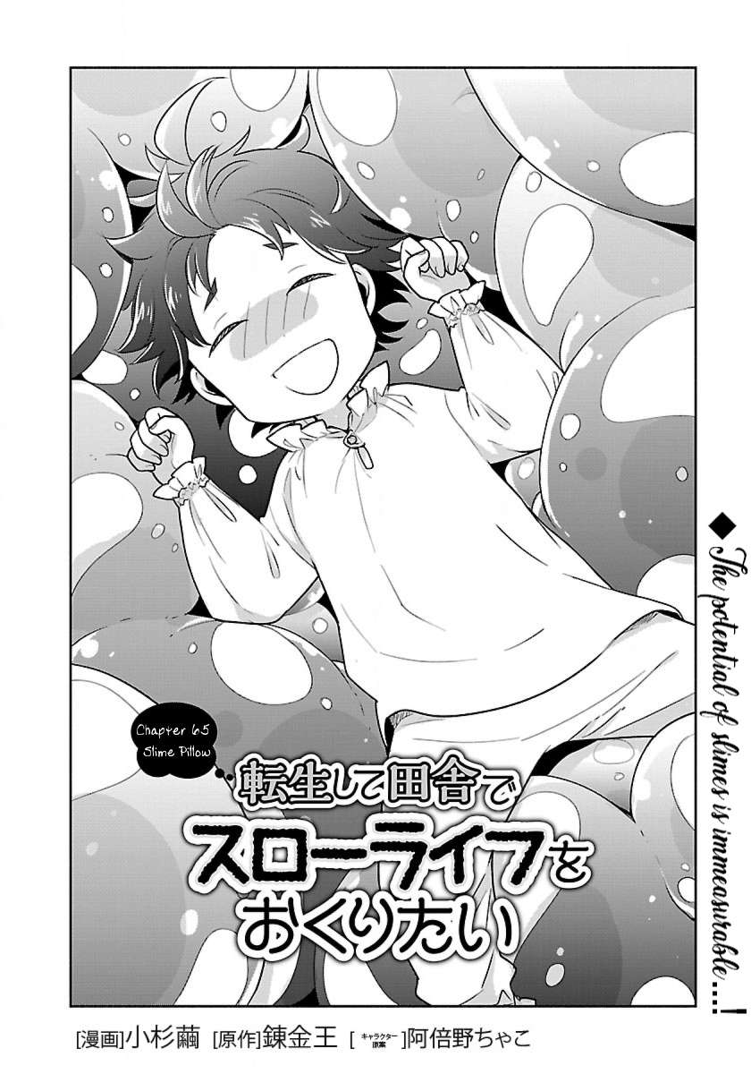 Page 2 of Chapter 65