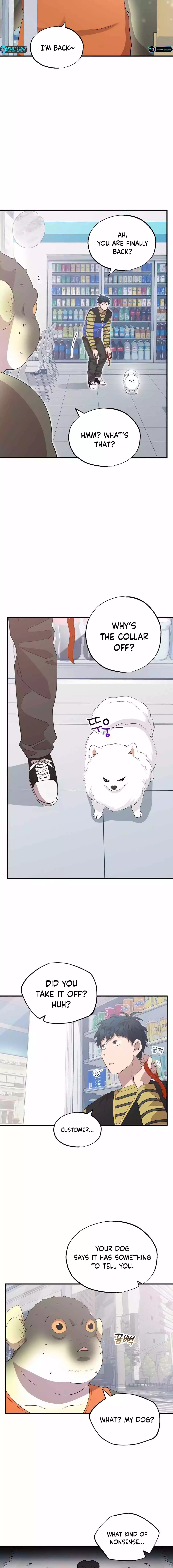 Page 11 of Chapter 15