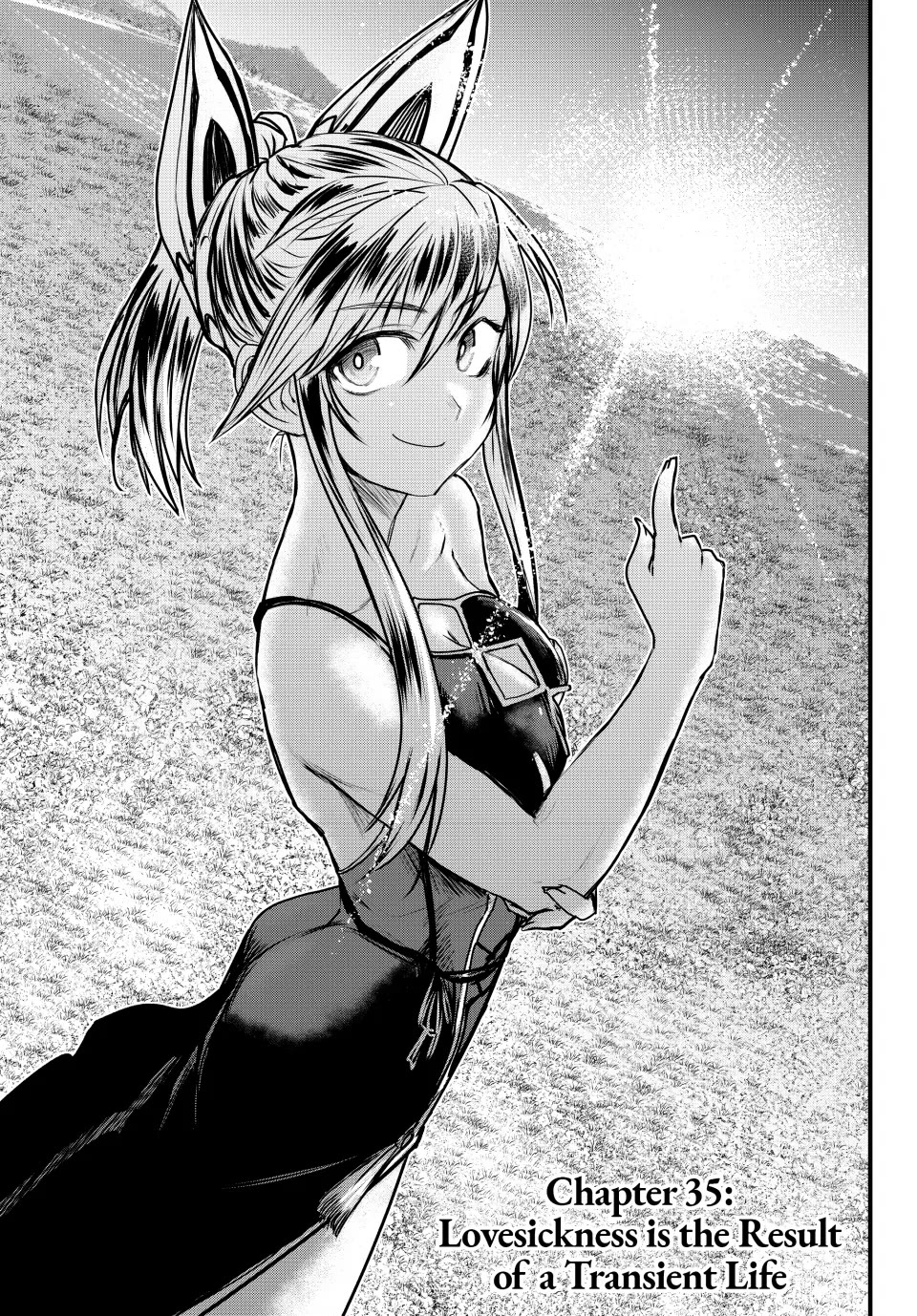 Page 1 of Chapter 35