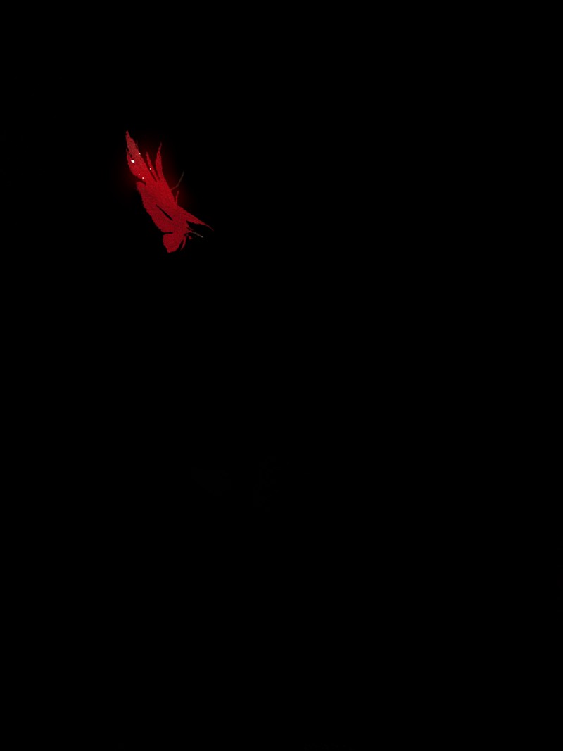 Page 12 of Chapter 144