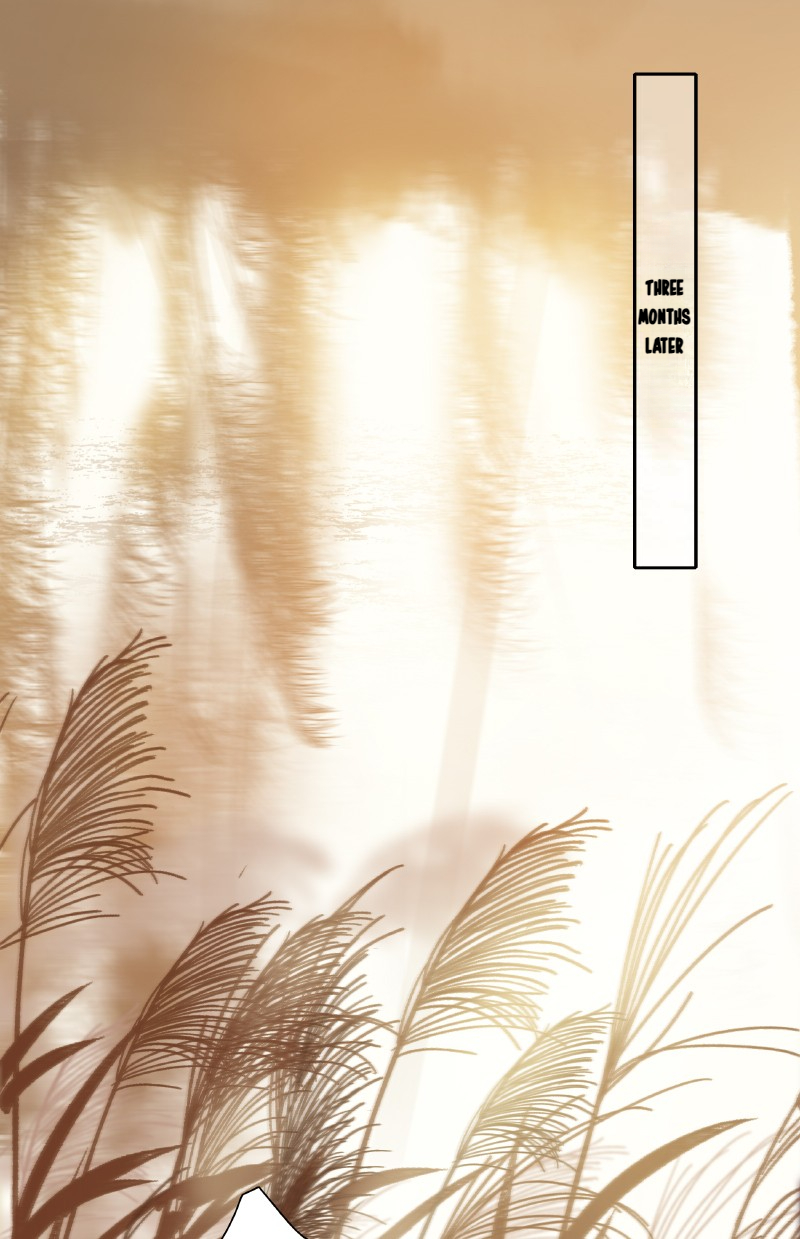 Page 2 of Chapter 146