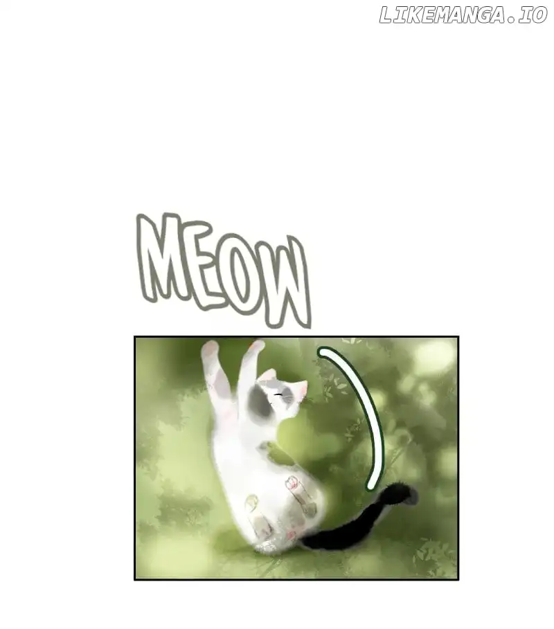 Page 13 of Chapter 198