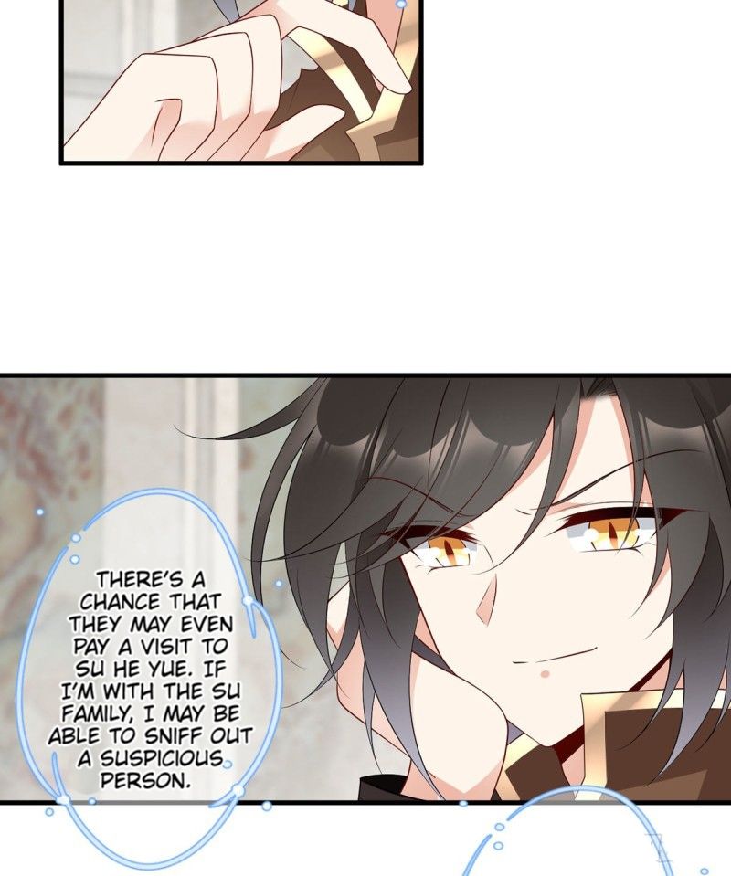Page 13 of Chapter 204