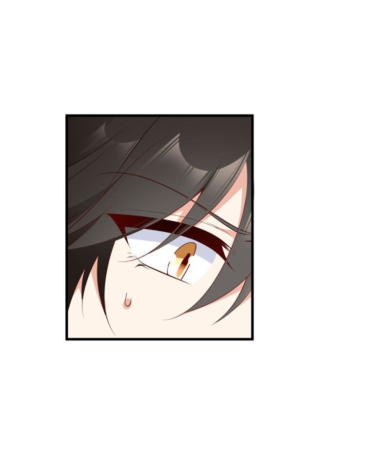 Page 8 of Chapter 209