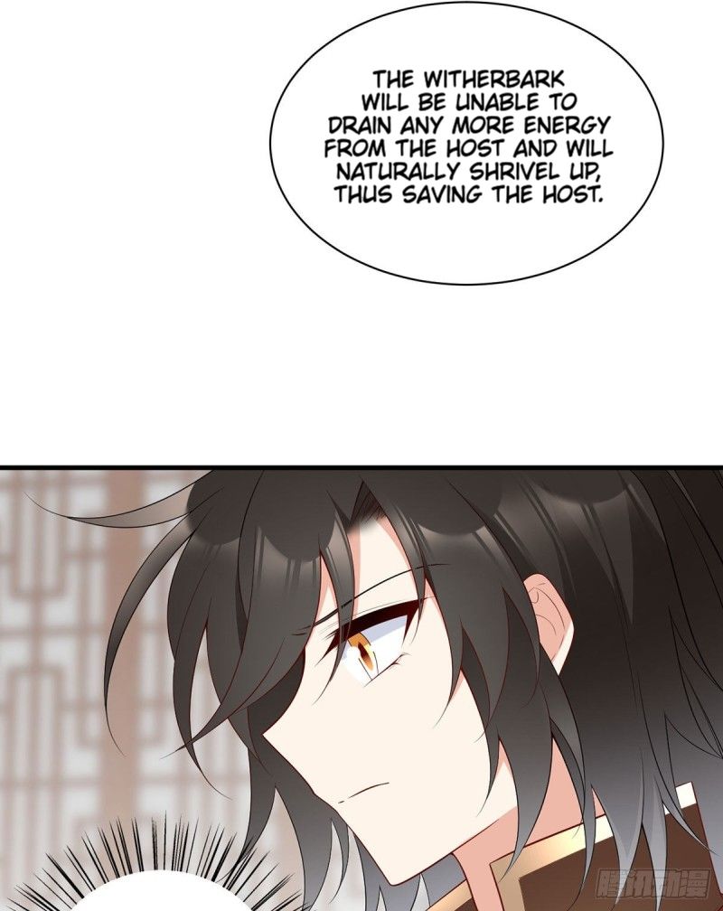 Page 13 of Chapter 213